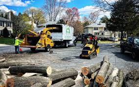 Best Storm Damage Tree Cleanup  in Sardinia, OH